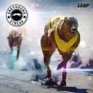 Greyhounds Streak