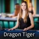 SA Gaming Dragon Tiger