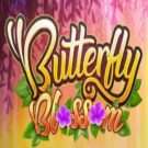 Butterfly Blossom