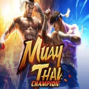 Muay Thai Champion
